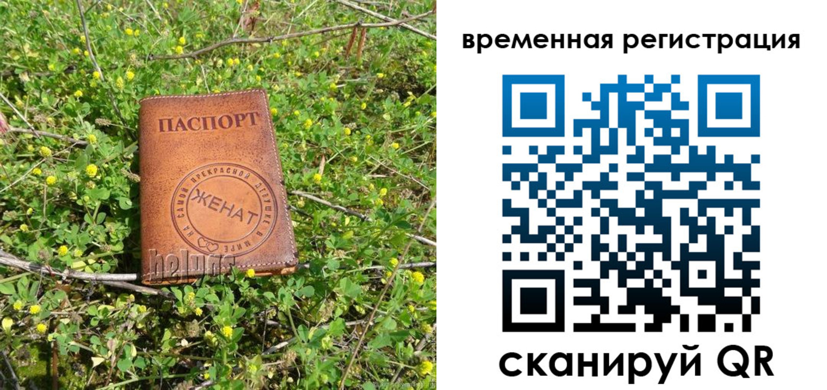 прописка регистрация в Кингисеппе